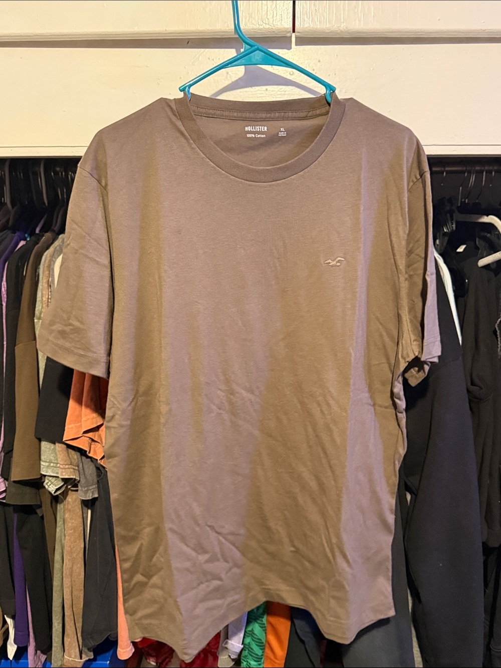 Hollister Men's Short Sleeve Crew T-Shirt in Brown